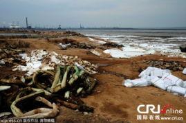 青岛海滩水泥爆料事件视频,惊人真相揭露海滩污染之谜